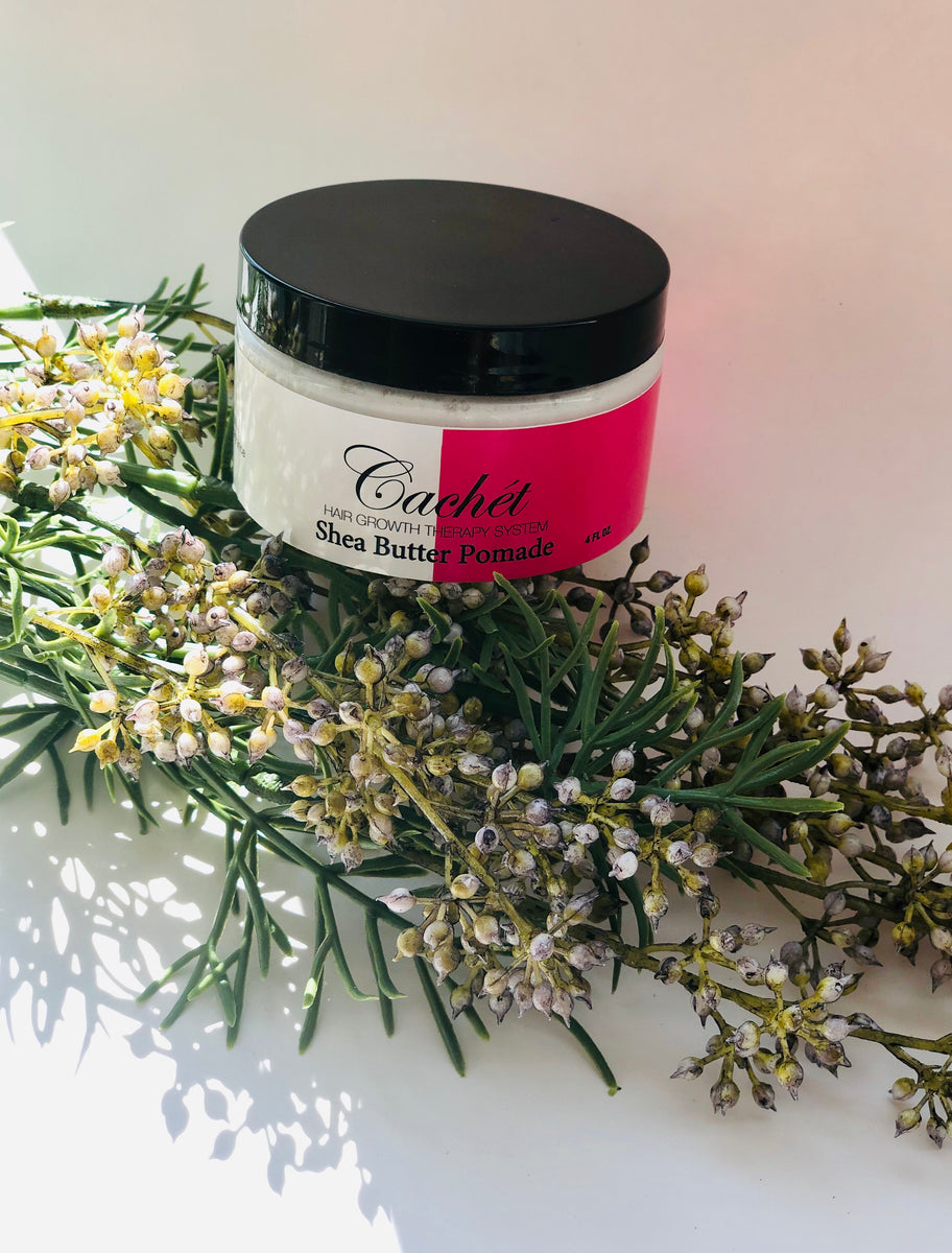 Cachét SHEA BUTTER Pomade Cachet Hair, Beauty & Restoration